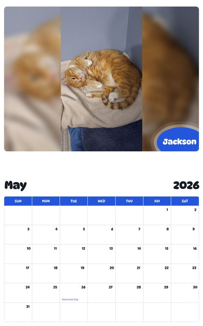 2026 - 2027 Jackson - Pawidols Pet Calendar