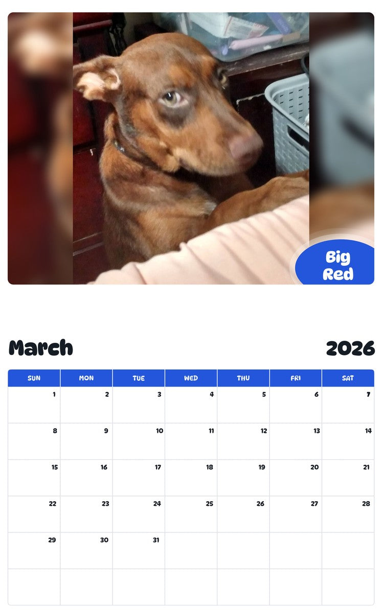 November 2025 - October 2026 Big Red - Pawidols Pet Calendar