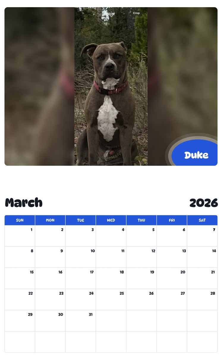 November 2025 - October 2026 Duke - Pawidols Pet Calendar
