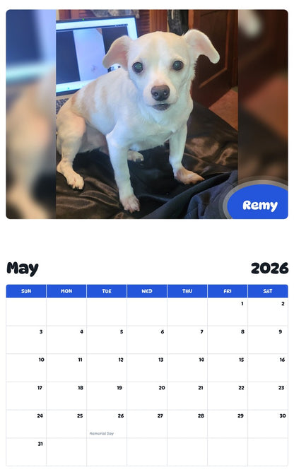 2026 - 2027 Remy - Pawidols Pet Calendar