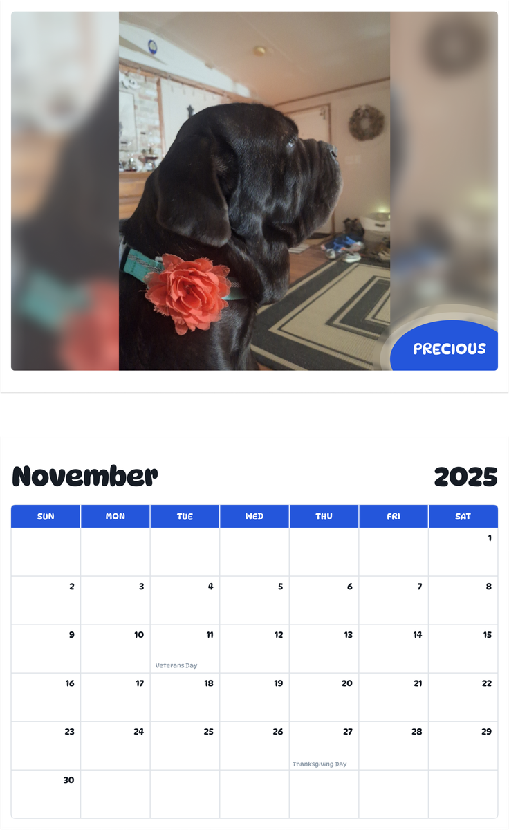 July 2025 - June 2026 Precious - Pawidols Pet Calendar