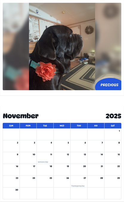 July 2025 - June 2026 Precious - Pawidols Pet Calendar