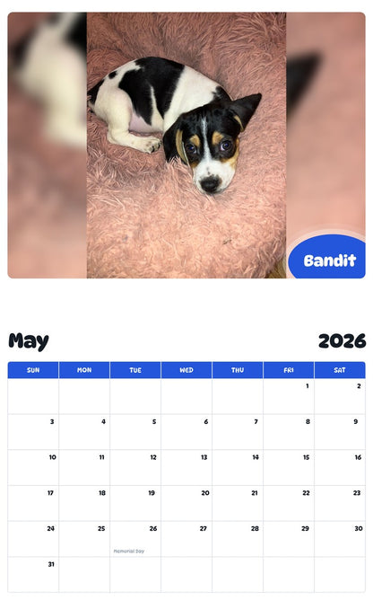2026 - 2027 Bandit - Pawidols Pet Calendar