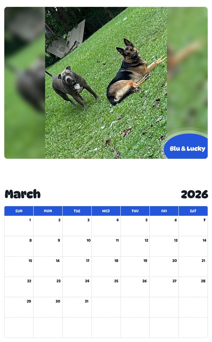 November 2025 - October 2026 Blu & Lucky - Pawidols Pet Calendar