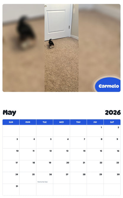 2026 - 2027 Carmelo - Pawidols Pet Calendar