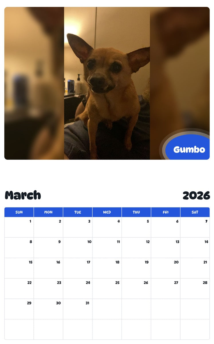 November 2025 - October 2026 Gumbo - Pawidols Pet Calendar