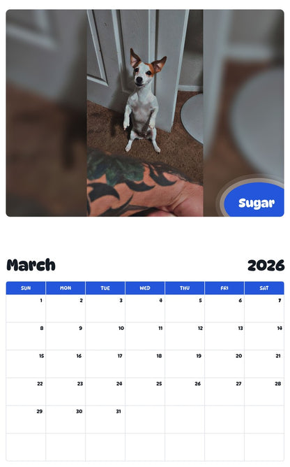 November 2025 - October 2026 Sugar - Pawidols Pet Calendar