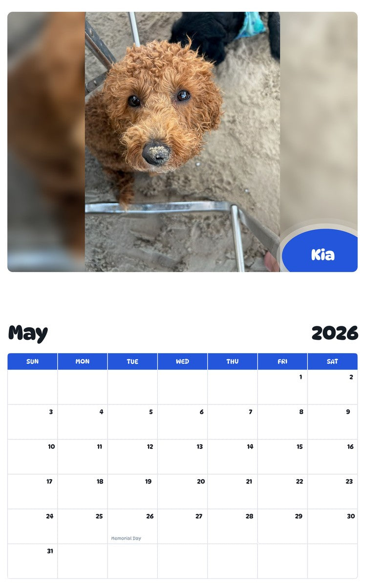 2026 - 2027 Kia - Pawidols Pet Calendar