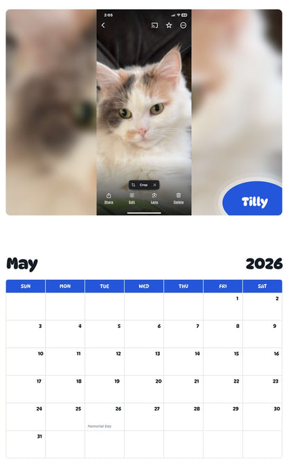 2026 - 2027 Tilly - Pawidols Pet Calendar