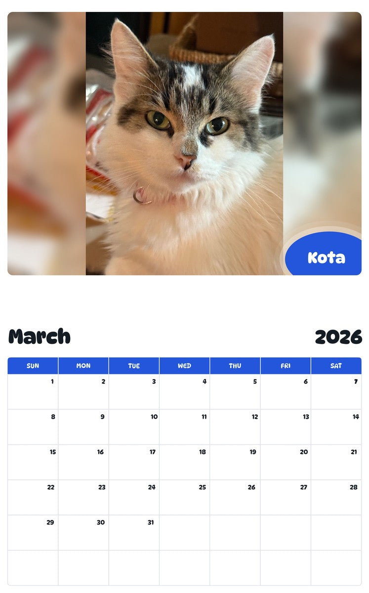 November 2025 - October 2026 Kota - Pawidols Pet Calendar