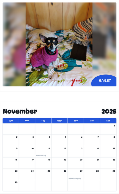 July 2025 - June 2026 Bailey - Pawidols Pet Calendar