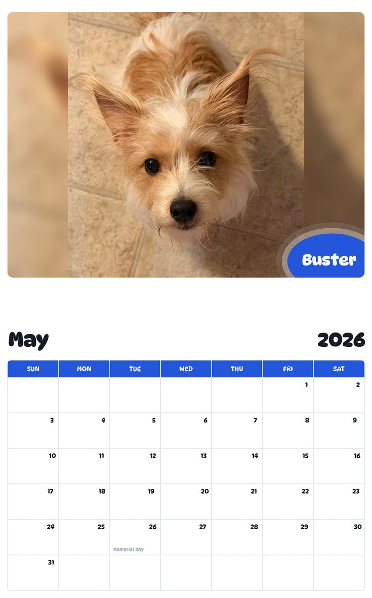 2026 - 2027 Buster - Pawidols Pet Calendar