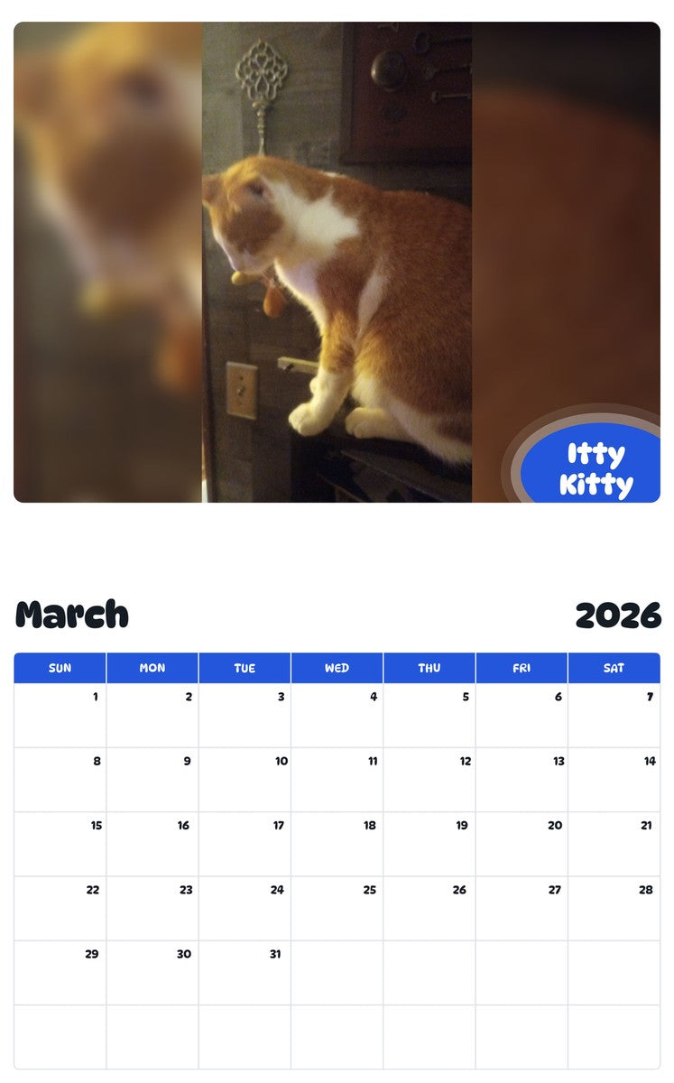 November 2025 - October 2026 Itty Kitty - Pawidols Pet Calendar