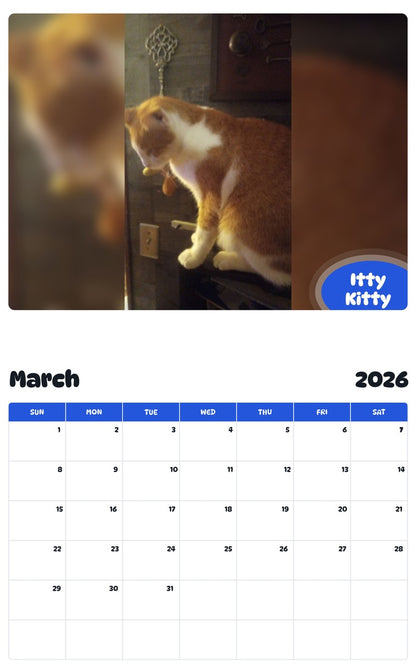 November 2025 - October 2026 Itty Kitty - Pawidols Pet Calendar