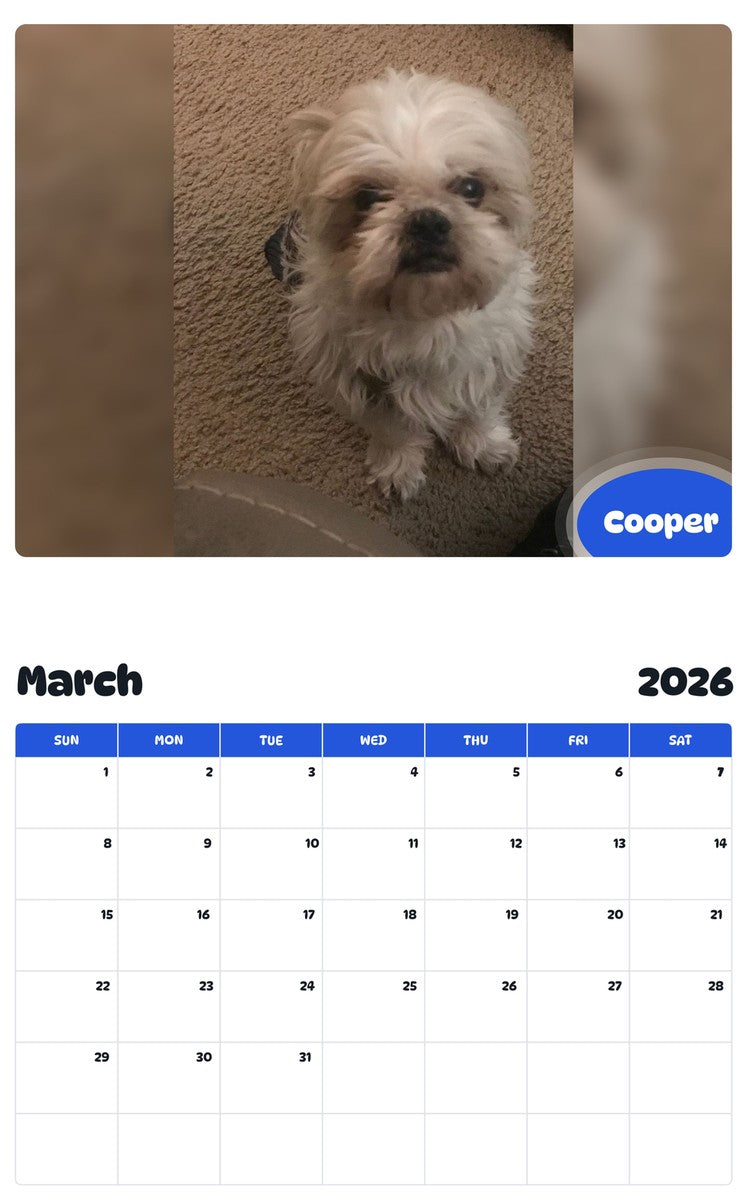 November 2025 - October 2026 Cooper - Pawidols Pet Calendar