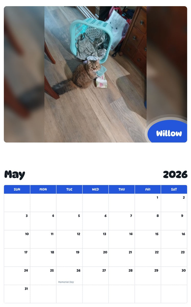 2026 - 2027 Willow - Pawidols Pet Calendar