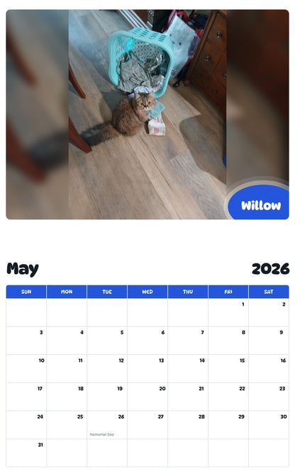 2026 - 2027 Willow - Pawidols Pet Calendar