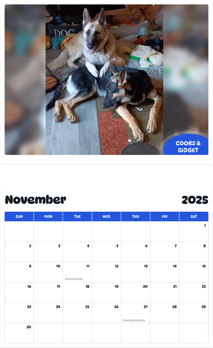 July 2025 - June 2026 Coors & Gidget - Pawidols Pet Calendar