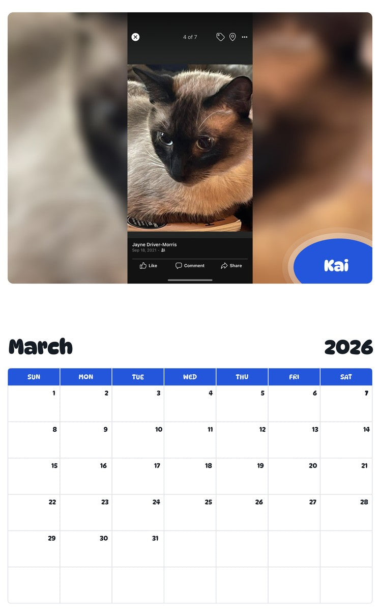 November 2025 - October 2026 Kai - Pawidols Pet Calendar