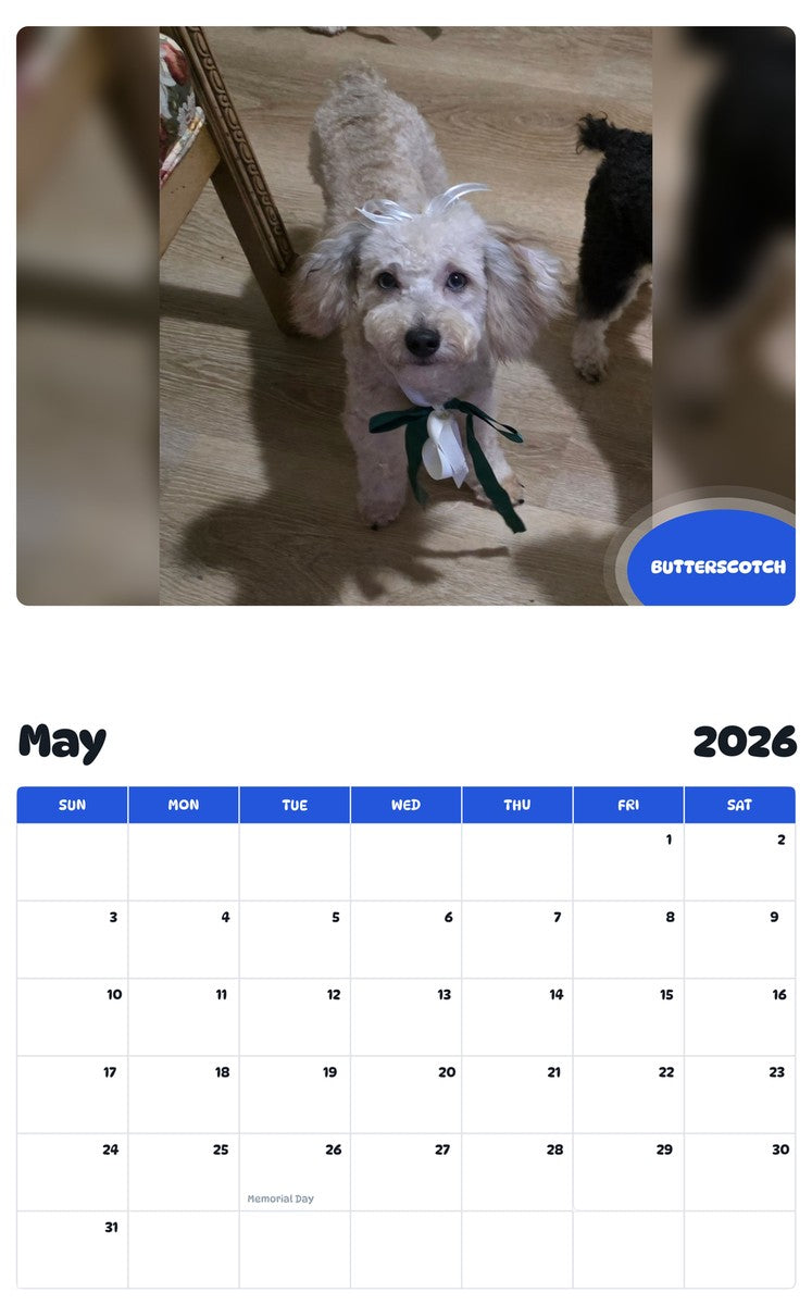 2026 - 2027 BUTTERSCOTCH - Pawidols Pet Calendar