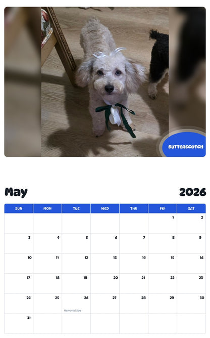 2026 - 2027 BUTTERSCOTCH - Pawidols Pet Calendar