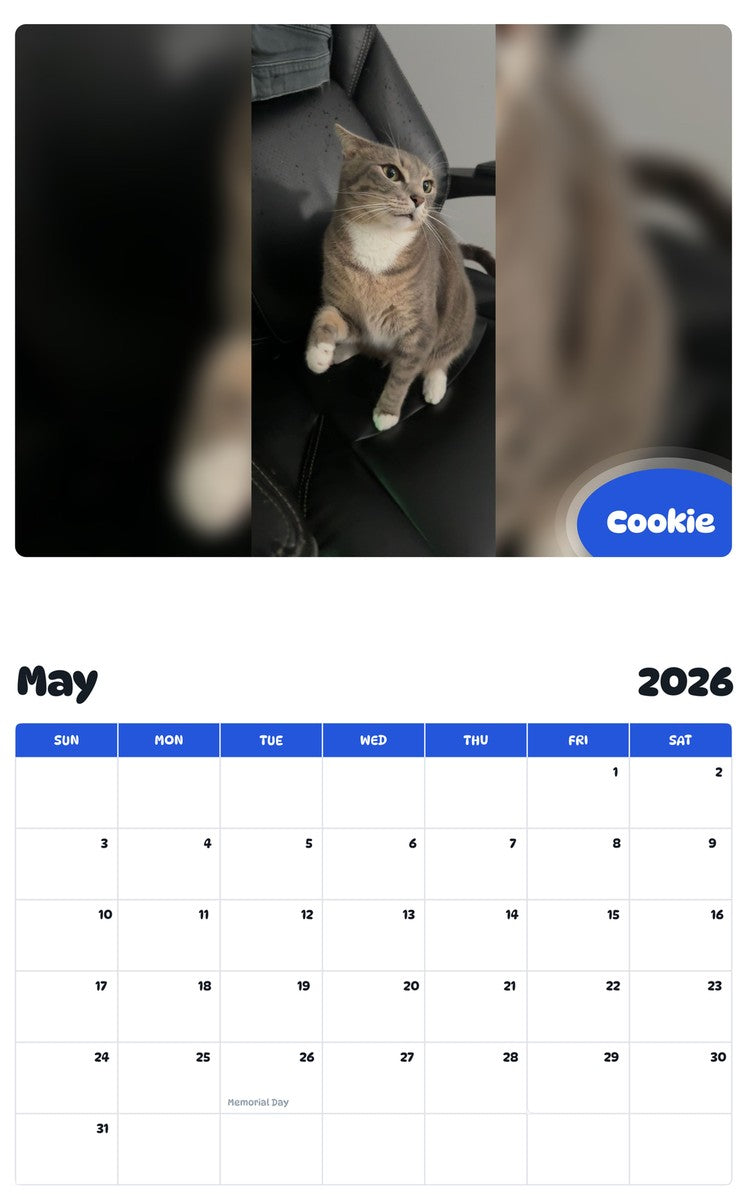 2026 - 2027 Cookie - Pawidols Pet Calendar