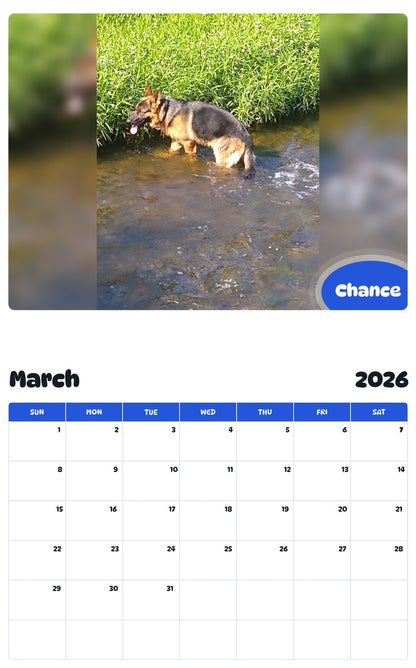 November 2025 - October 2026 Chance - Pawidols Pet Calendar