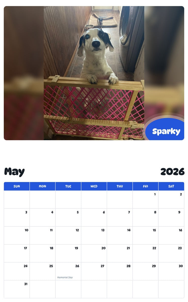 2026 - 2027 Sparky - Pawidols Pet Calendar