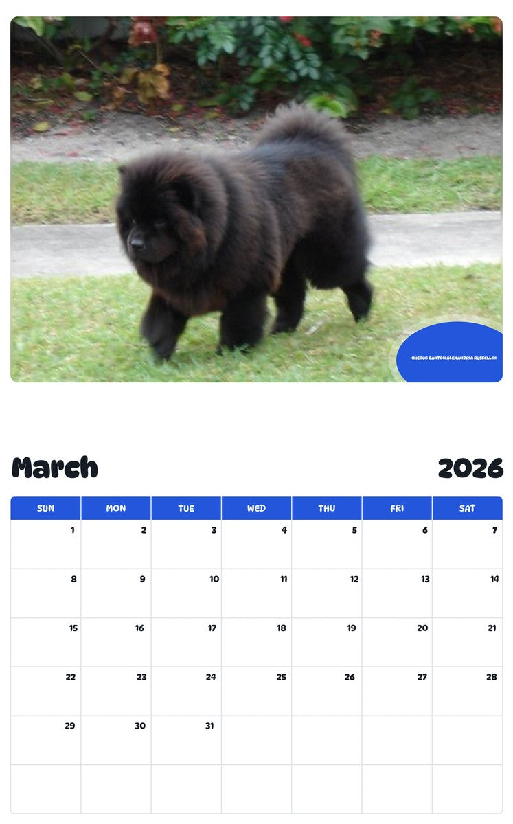 November 2025 - October 2026 CHERUB CANTON ALEXANDRIA RUSSELL III - Pawidols Pet Calendar