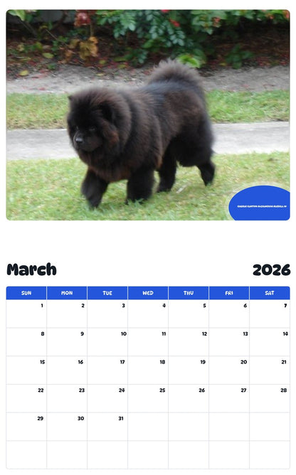 November 2025 - October 2026 CHERUB CANTON ALEXANDRIA RUSSELL III - Pawidols Pet Calendar
