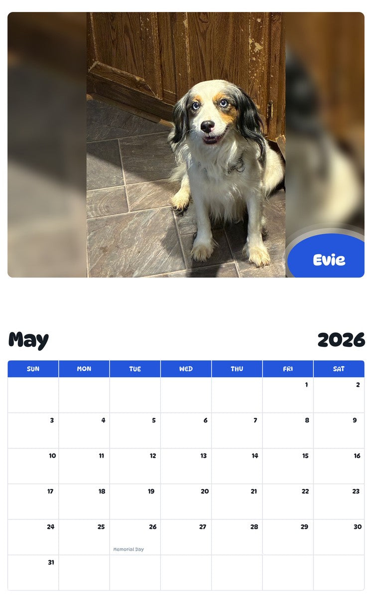 2026 - 2027 Evie - Pawidols Pet Calendar