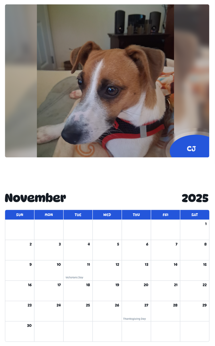 July 2025 - June 2026 Cj - Pawidols Pet Calendar