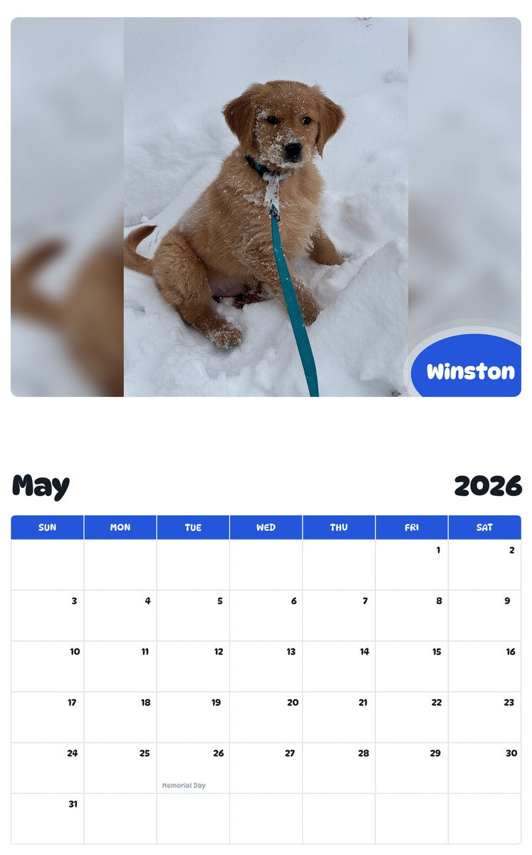 2026 - 2027 Winston - Pawidols Pet Calendar
