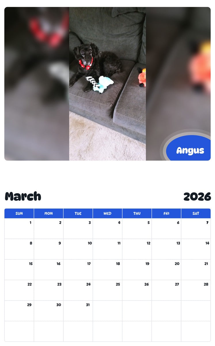 November 2025 - October 2026 Angus - Pawidols Pet Calendar