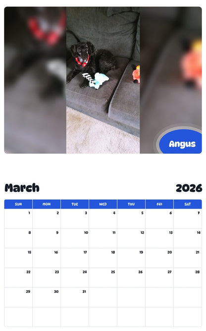 November 2025 - October 2026 Angus - Pawidols Pet Calendar