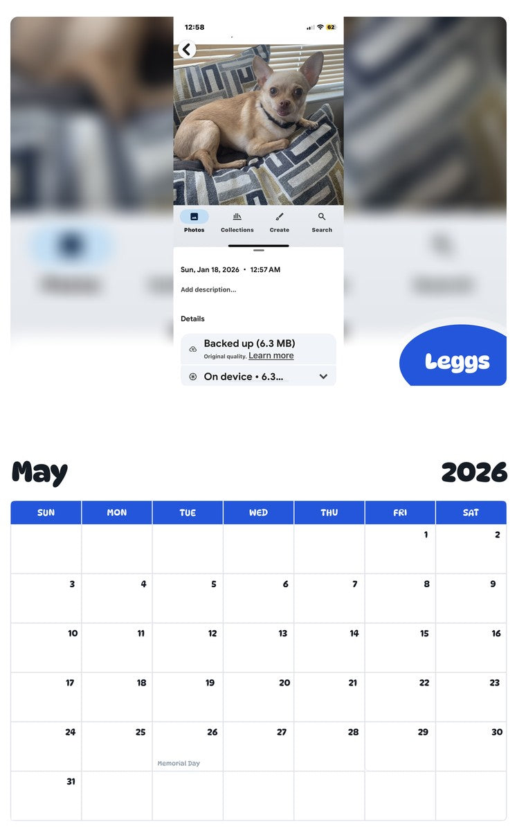 2026 - 2027 Leggs - Pawidols Pet Calendar