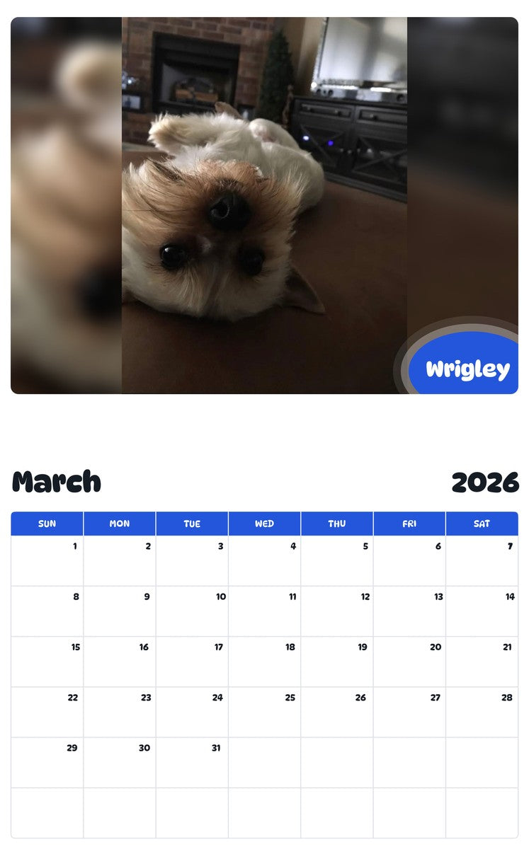 November 2025 - October 2026 Wrigley - Pawidols Pet Calendar