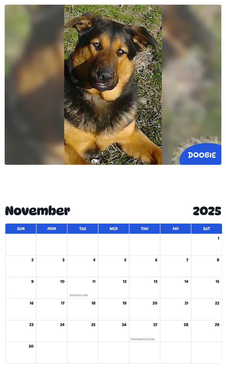 July 2025 - June 2026 Doobie - Pawidols Pet Calendar