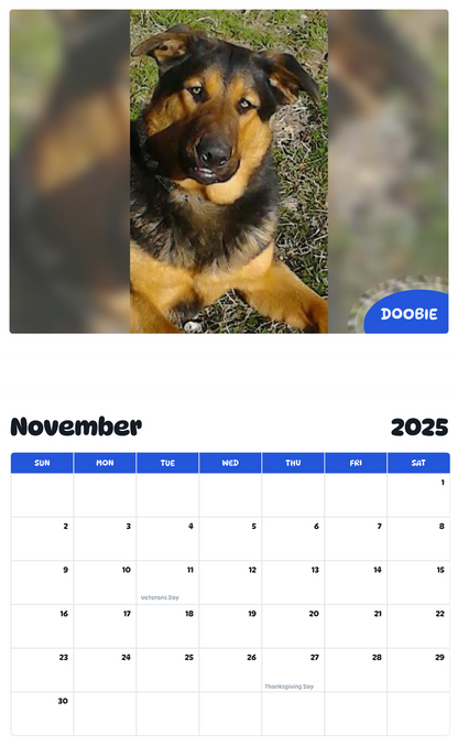 July 2025 - June 2026 Doobie - Pawidols Pet Calendar