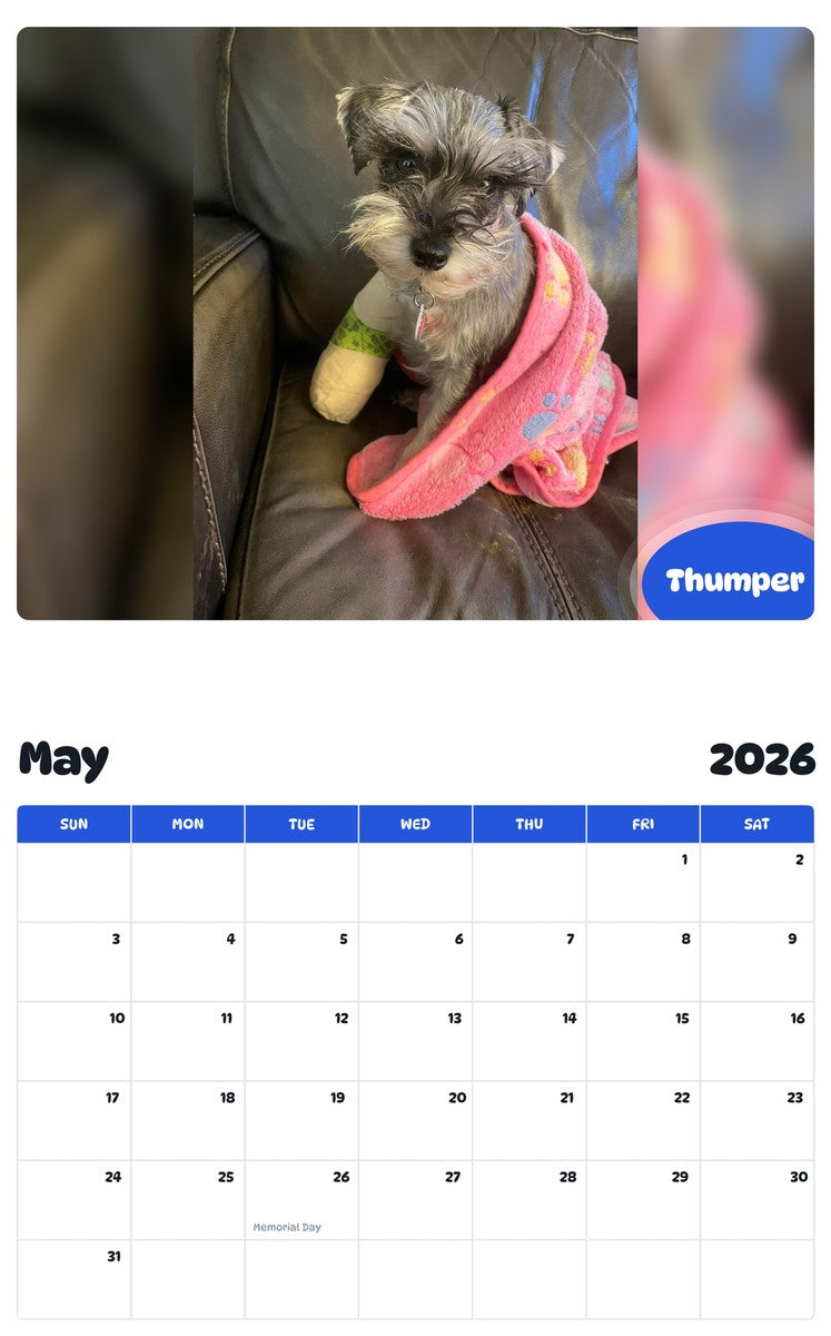 2026 - 2027 Thumper - Pawidols Pet Calendar