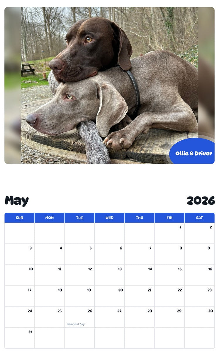 2026 - 2027 Ollie & Driver - Pawidols Pet Calendar