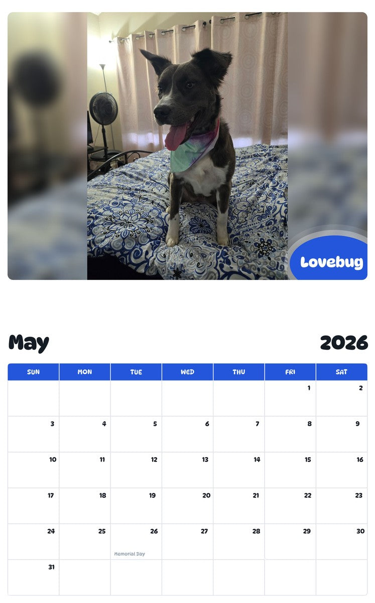 2026 - 2027 Lovebug - Pawidols Pet Calendar