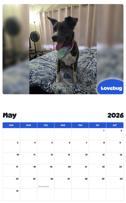 2026 - 2027 Lovebug - Pawidols Pet Calendar