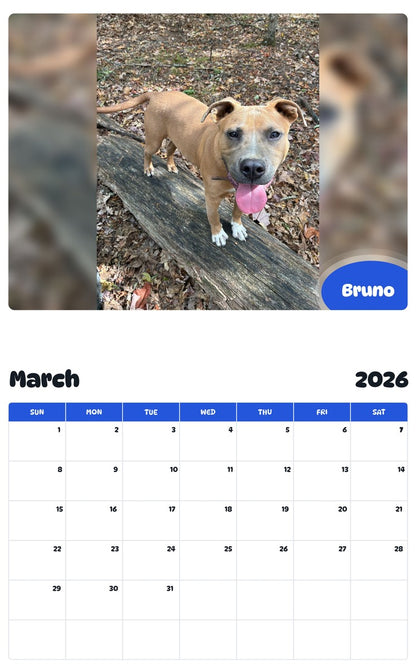 November 2025 - October 2026 Bruno - Pawidols Pet Calendar
