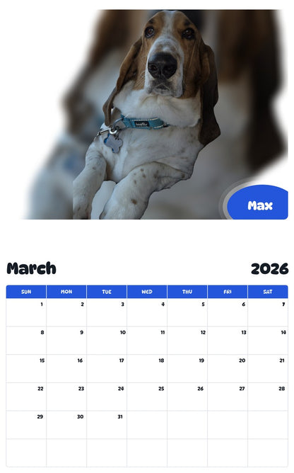 November 2025 - October 2026 Max - Pawidols Pet Calendar