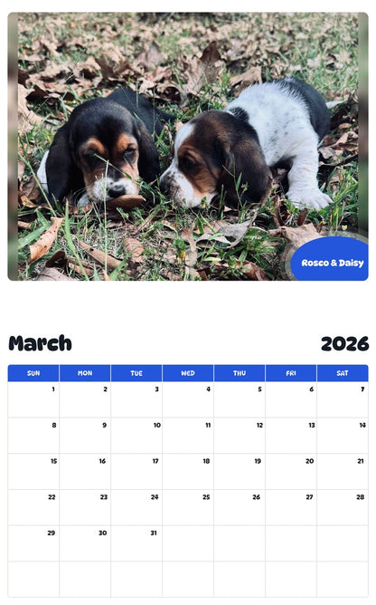 November 2025 - October 2026 Rosco & Daisy - Pawidols Pet Calendar