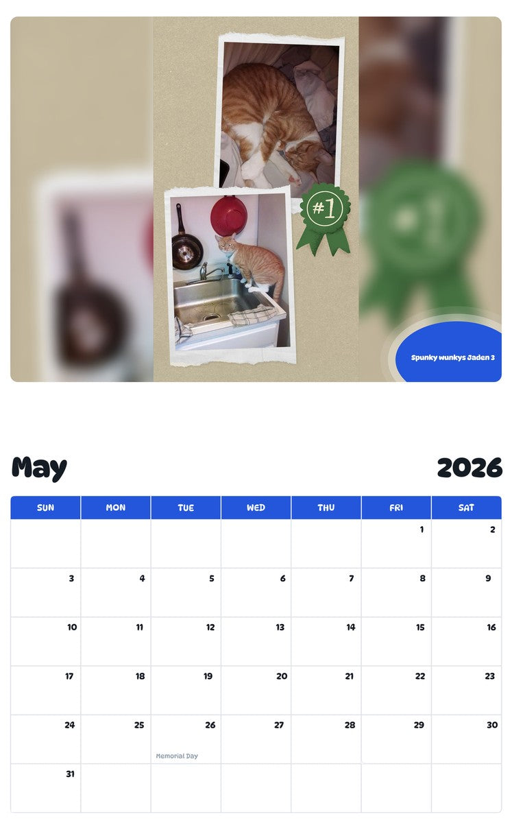 2026 - 2027 Spunky wunkys Jaden 3 - Pawidols Pet Calendar