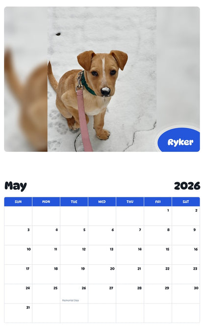 2026 - 2027 Ryker - Pawidols Pet Calendar