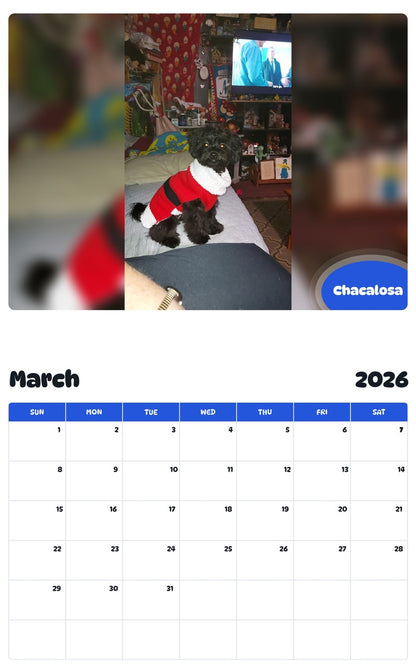 November 2025 - October 2026 Chacalosa - Pawidols Pet Calendar