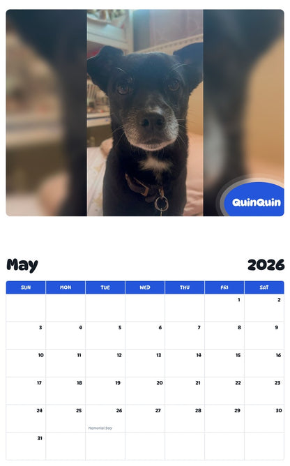 2026 - 2027 QuinQuin - Pawidols Pet Calendar